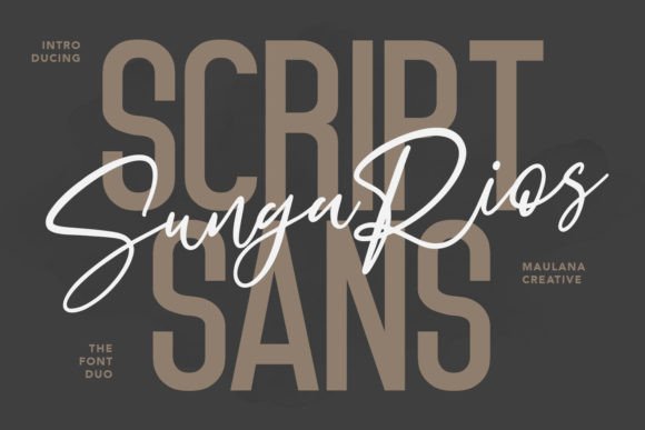 Sungarios: A Dynamic Duo for Modern Design